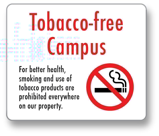 why smoking should not be banned essay